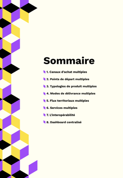 Ebook-complexite-flux-sommaire