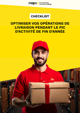 Mapo Ebook - Optimisation - Pic de fin dannée - Cover