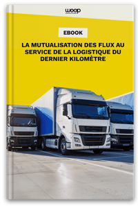 Woop Ebook - Mutualisaton