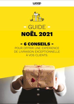 ebook-noel-couv