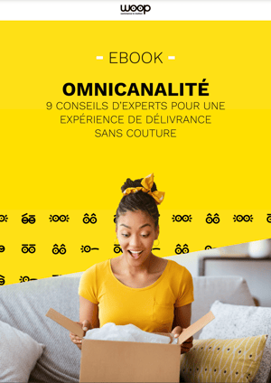ebook-omnicanalite-cover