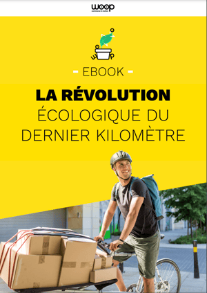 ebook-revolution-cover